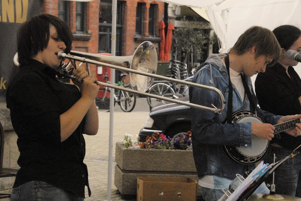 Fringe 2 2014